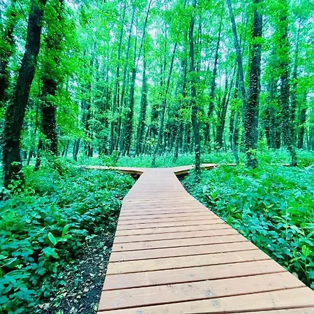 Karos Kristaly Apartment Zalakaros