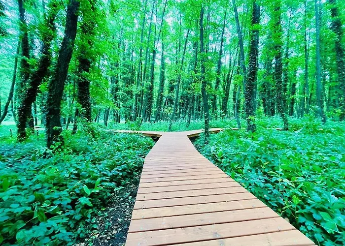 Karos Kristaly アパート ザラカロシュ